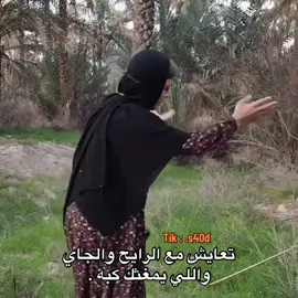 #نجران 