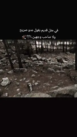 #اكسبلور #ستوريات #تفاعلكم #منشن #fypシ゚ 