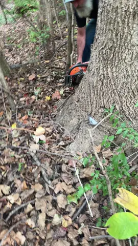 The trigger in the bag