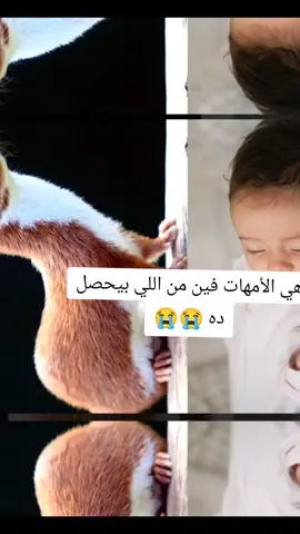 الإهمال بقي كتير جدا اليومين دول ربنا يرحمنا برحمته🤲🏼🤲🏼🤲🏼