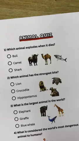 Animal Quiz - Can you get 7/7? #animal #animalquiz #quiz #quiztime #trivia 