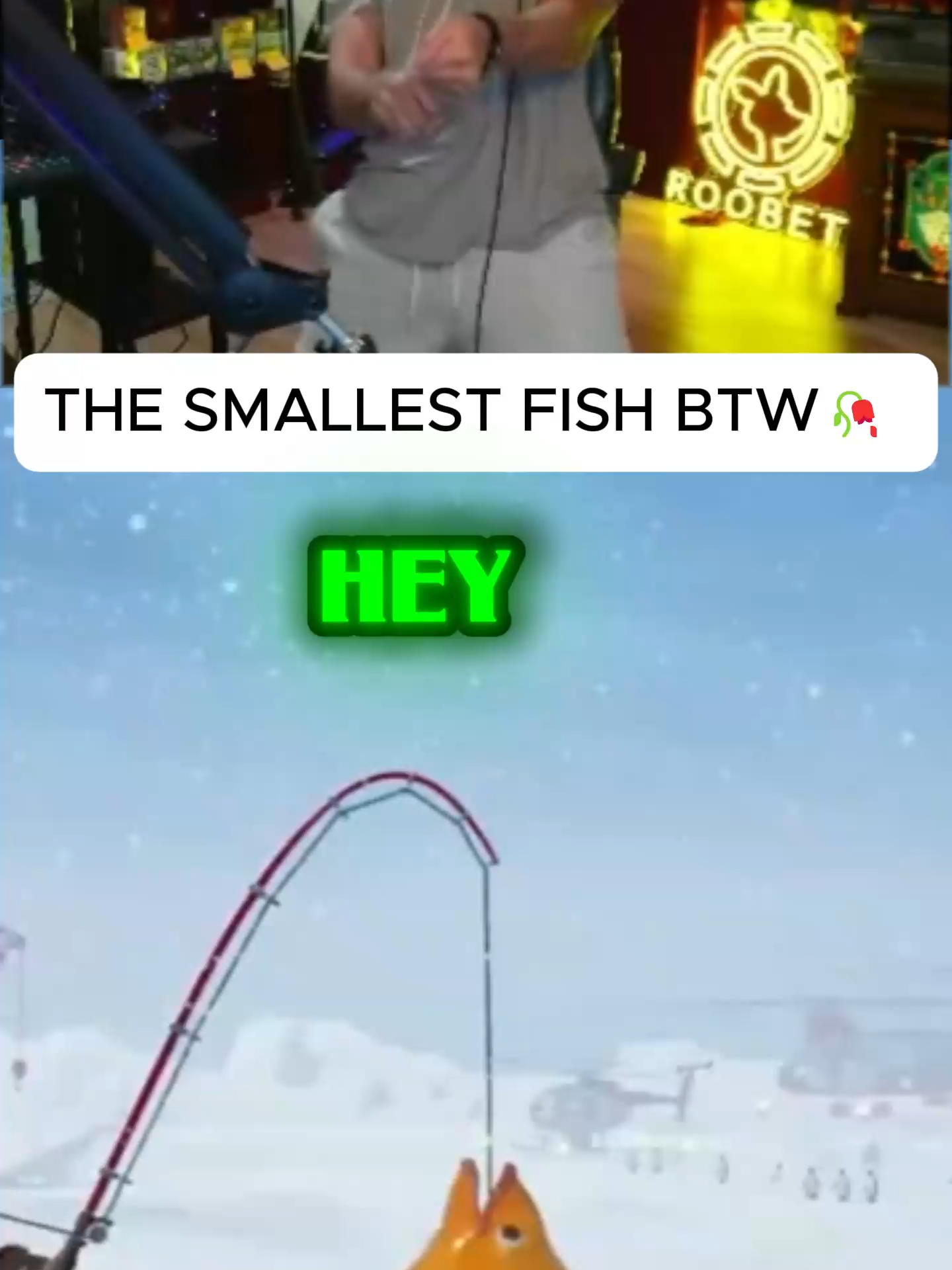 How is that the sXallest fish? ITS A GIANT #FISHING #VIRAL #ice #streaming