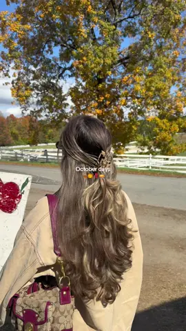 pumpkin + apple picking day = best day of the year 🍎🥧🎃🍁☕️🤎🧸 #october #fall #autumnaesthetic #halloween #dayinmylife 