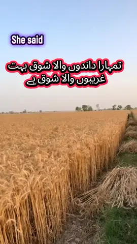 #foryou #jaferlovers #tiktok #dontunderviewmyvideos🥀 #unfreezemyacount 