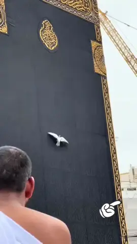 MashAllah ❤️❤️#makkahmadinah🕋 #soudiarabia🇸🇦🇸🇦🇸🇦 #islimic_video #makkahmadinah🕋 