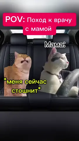 #cats #catsoftiktok #catslovers #funnypets #historycats 