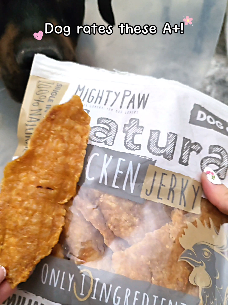 furry friend🐶Satisfaction🦴 Guaranteed😋🙌 . #healthydogtreats  #mightypawpartner  #mightypawmoment #tiktokshopblackfriday #foryoupage 