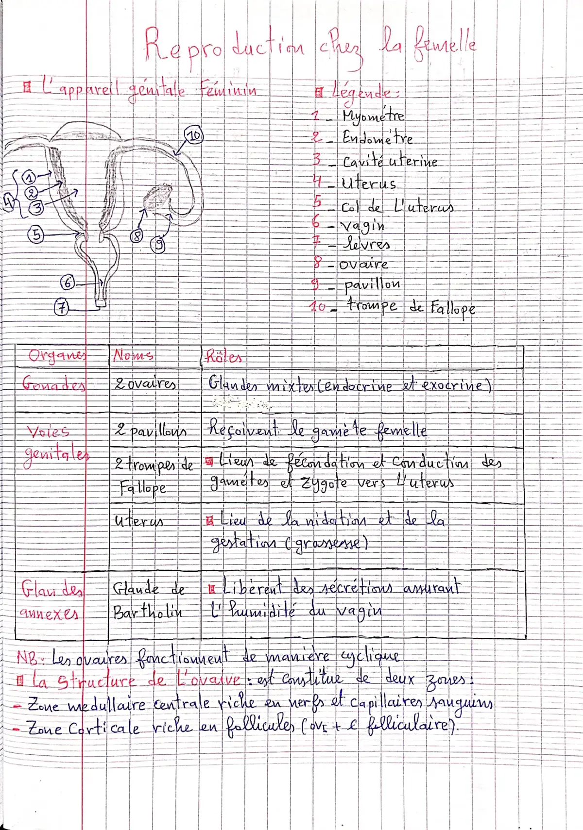 #vie #Science #7D #Cours #Bac 