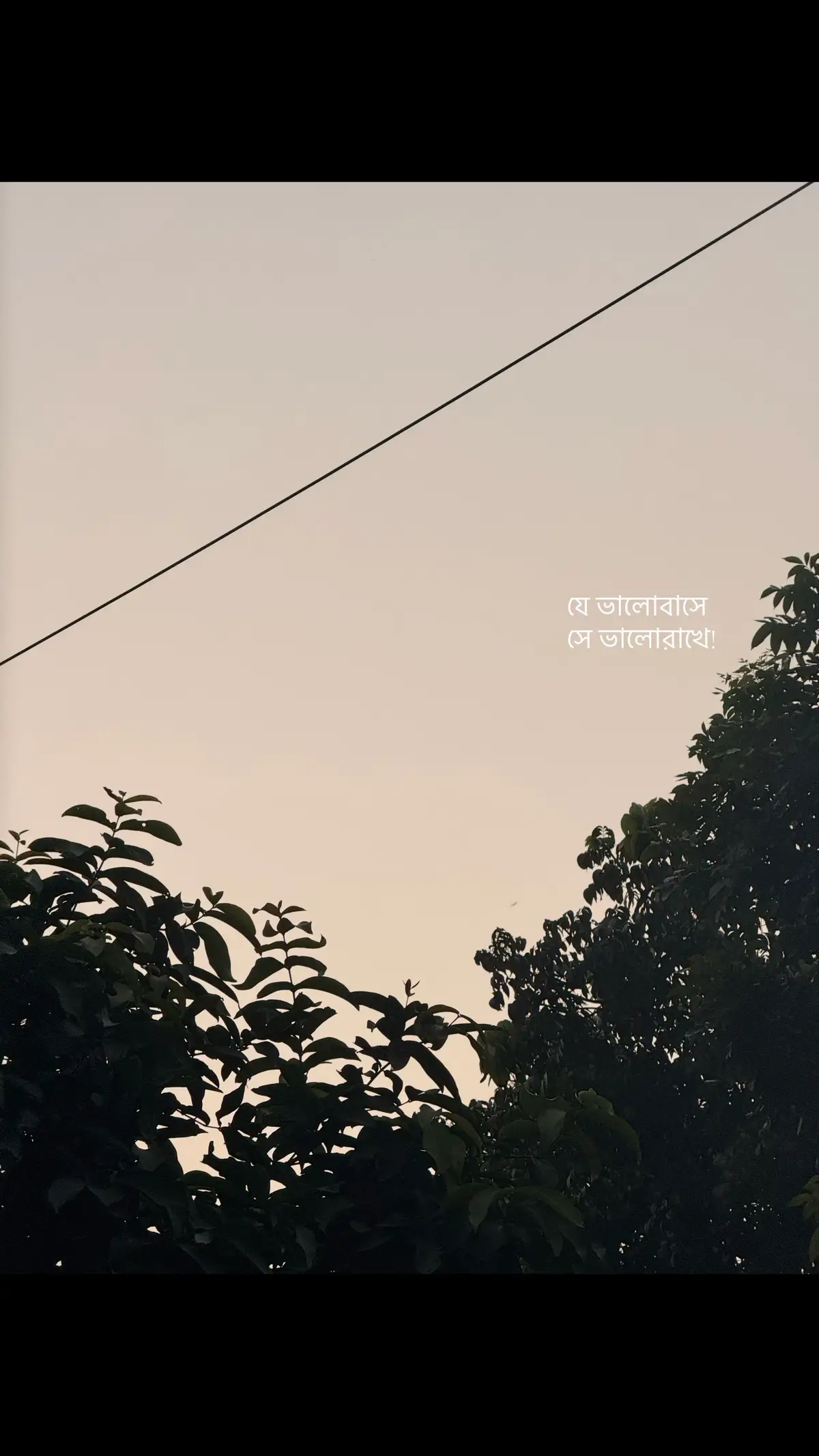 #adittoishere #viral #fyp 