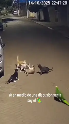 Jajajaja #humor #fyp #paratiiiiiiiiiiiiiiiiiiiiiiiiiiiiiii #viral #sigueme 