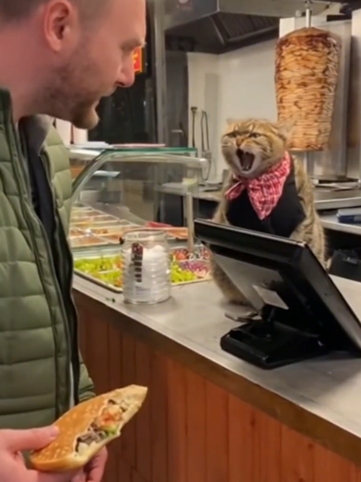 Katze im Dönerladen #cat #funny #sora #ai #fyp 