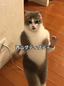 うちの子に西山ダディダディやらせてみたwwww #西山ダディダディ #fyp #おすすめにのりたい 