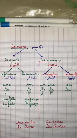 #creatorsearchinsights #students #dimamaroc🇲🇦❤️🇲🇦 #اللغة_الفرنسية #الشعب_الصيني_ماله_حل😂😂 