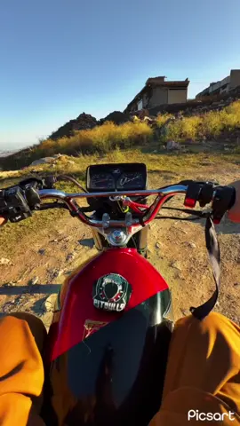 #fypシ゚viralシ❤️ 