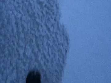 I am such a shallow form. a shell of absence I am nothing but the pieces that hold my insides together