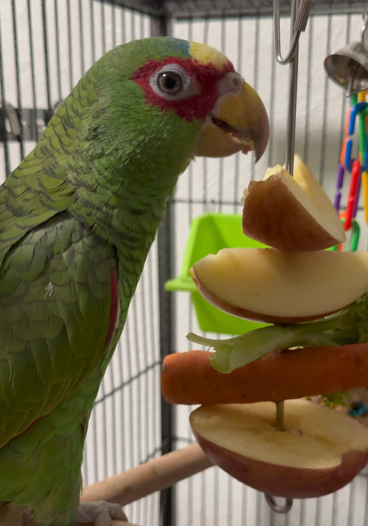 Una dieta balanceada y una vida saludable. ☺️