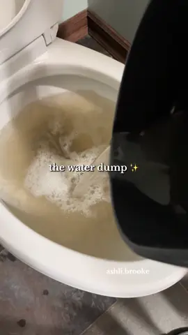 A little mopping motivation! What's your current go to fav product to mop with?? On a Lysol kick over here 💚#spinmop #CleanTok #asmr #motivation #cleanwithme 