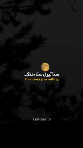 🥀🫀 #fyp #fy #poetry #pashtopoetry #pashtoshayari 