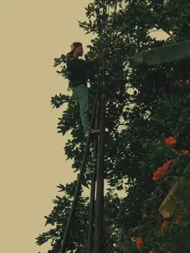 #CapCut Bondan prakosao expresikan #viraltiktok #fyp #trendddddddddddddddddd #trending 