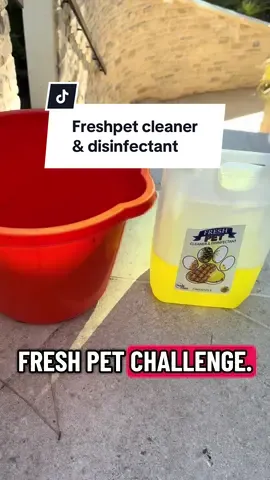 The ultimate cleaner today we cleaned outside and was very impressed with this product. Results speak for themselves. @Fresh Pet #cleaning #disinfectant #fyp #tiktokmademebuyit #results 