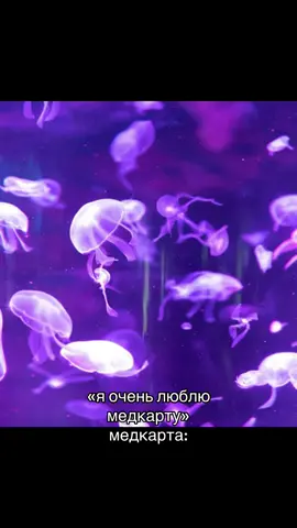 о боже #binganben #историяболезни #медкарта #casefilecompendium #danmei 