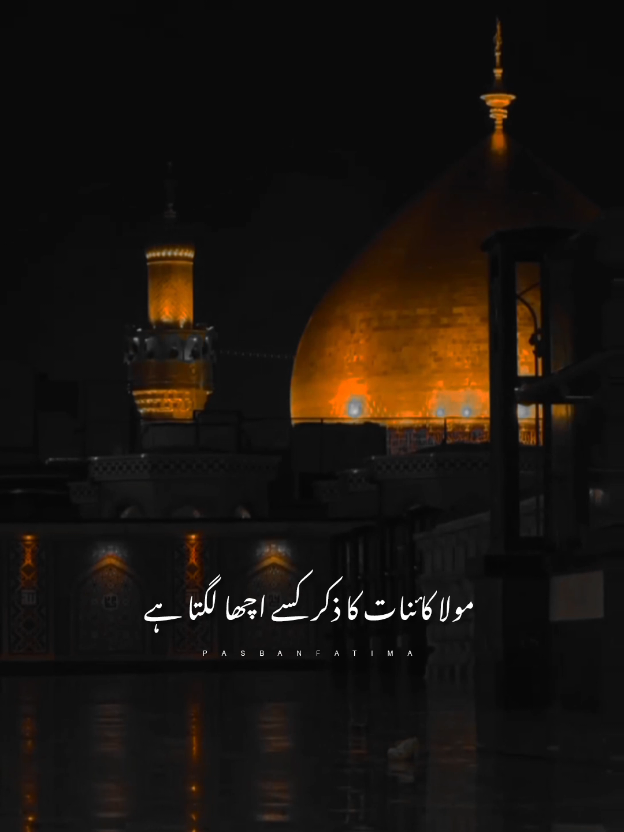 مومن کون ہے اور منافق کون ہے 🥹🌸🥰🥰#yaali #shiastatus #foyoupag #ali_walihu #growmyaccount 