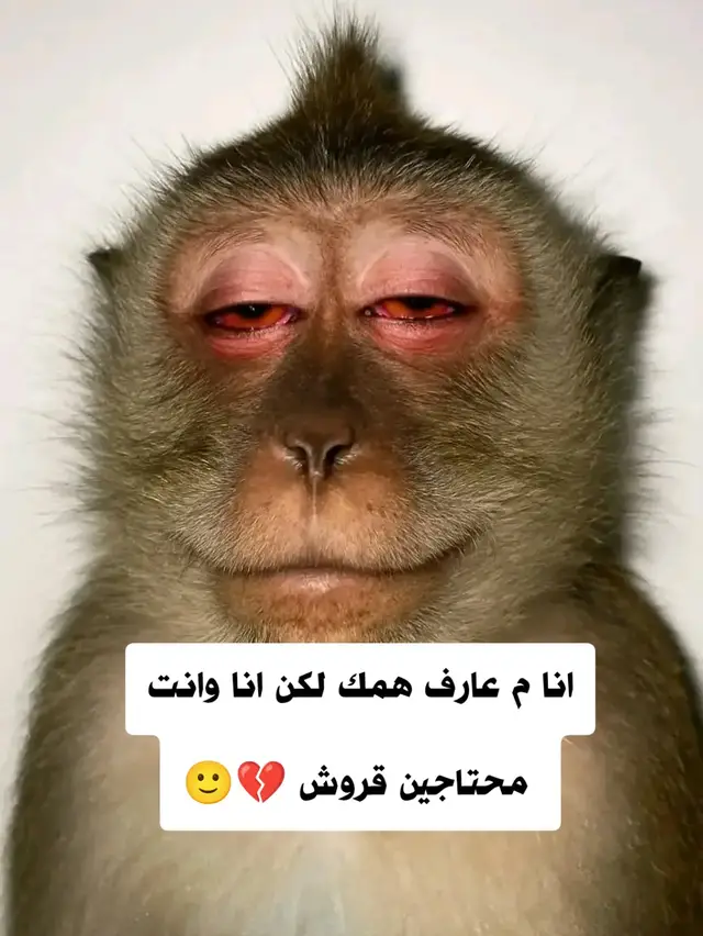 #جلنطيات_لضحكة😂😂💔💔 