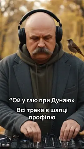 DJ Тарас Шевченко - Ой у гаю при Дунаю #музикаукраїнською #ukraine🇺🇦 #ukrainianmusic #music #remix 