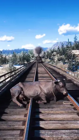 SIMULATE SURVIVAL SKILLS DAILY FOR FANS #survival 