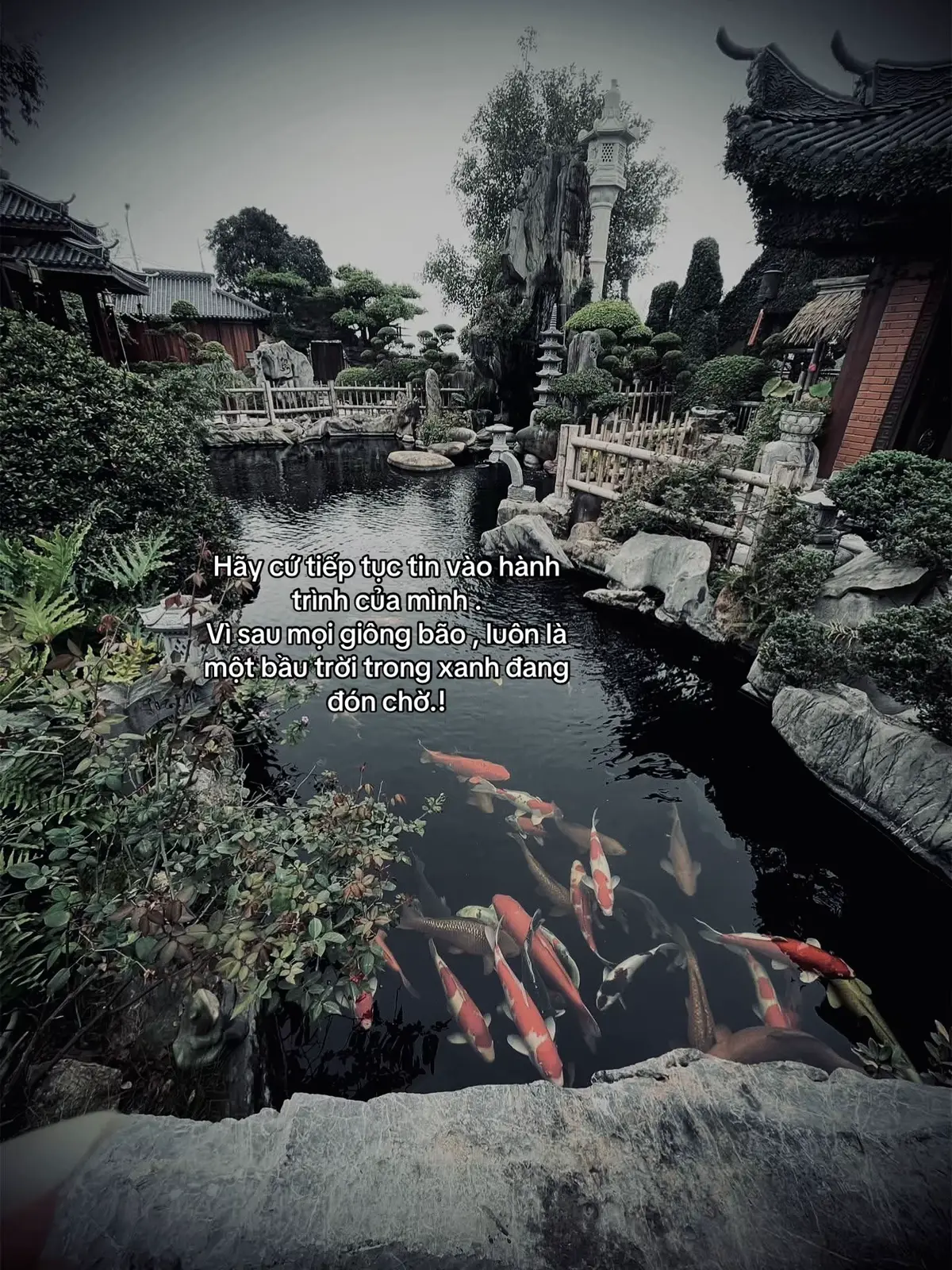 坚信你的旅程。因为每场风雨过后，总有一片晴朗的蓝天在等待你。#tanh08_ #tamtrang #story #sttdoi 
