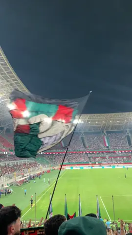 Khali y9olou khali y9olou 🦁💚❤️#mouloudia_virage_sud🇮🇹🙏 #مولوديةالجزائر #mca #curvasud #viragesud 