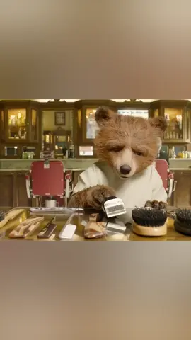 El osito fue encarcelado🤔