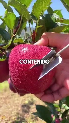 No comas estos alimentos durante la noche 😱 #comidasaludable #frutas #consejosdesalud #viral #alimentos 