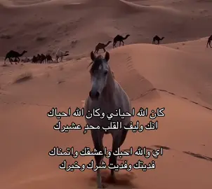 منشن 🫵🏻؟ #لايك #اكسبلور #شعر #foryou #قصيد 