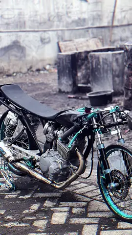 Asli herex 2klep honda tiger