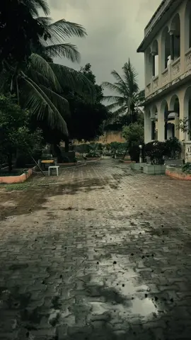 #🖤 #vibewithme 🍂🍁