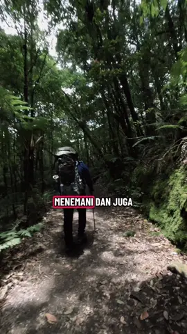 Kisah Sweeper #camping #gunung #pendaki 