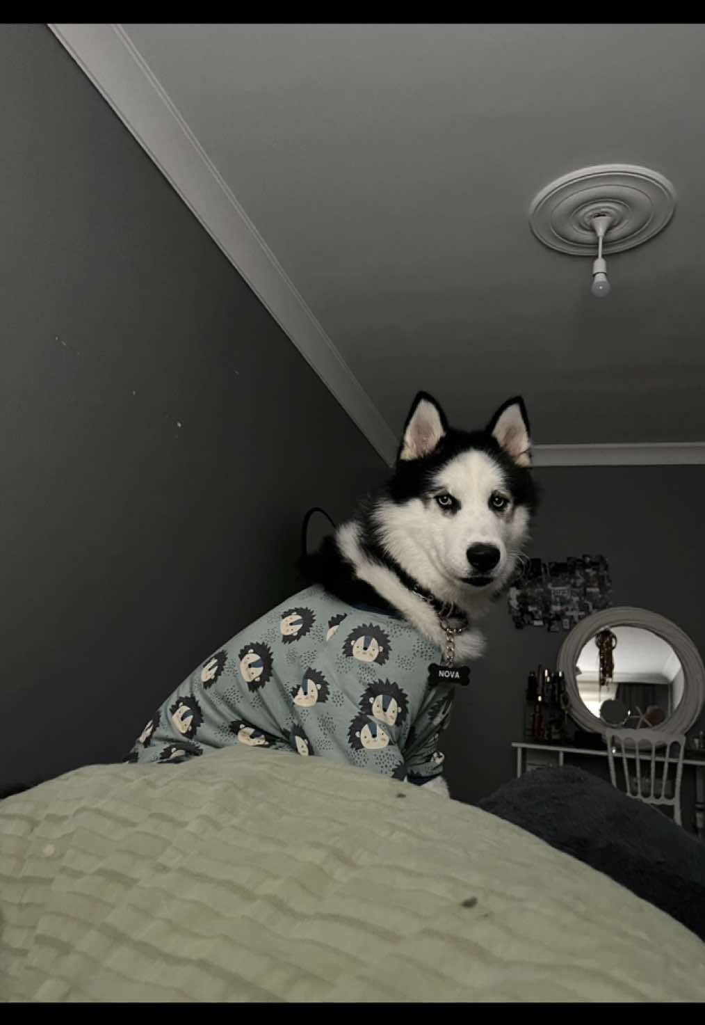 Sus çocuğummm  . . #fyppppppppppppppppppppppp #fy #keşfet #kesfet 