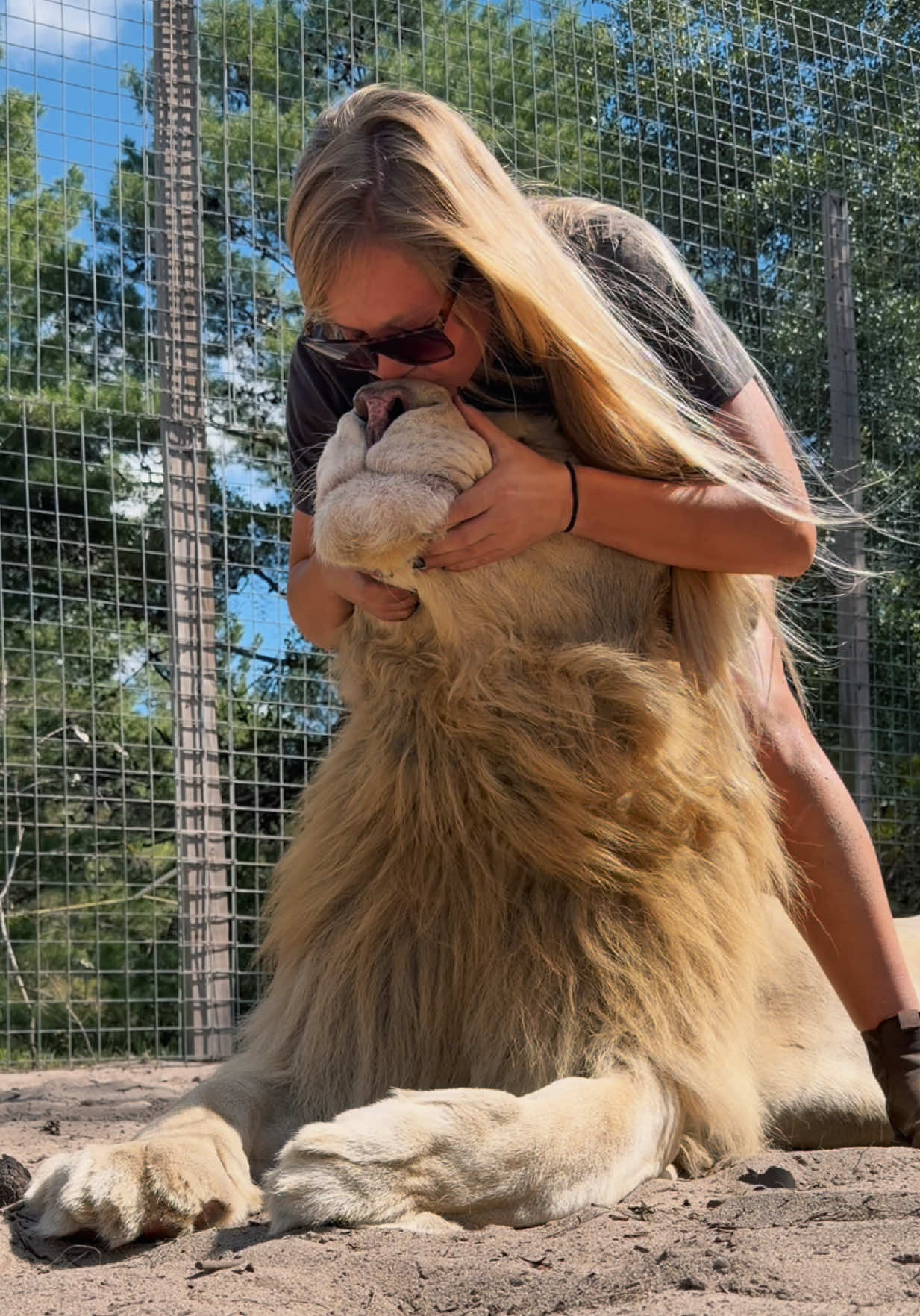 Styling Timba’s mane 🦁 