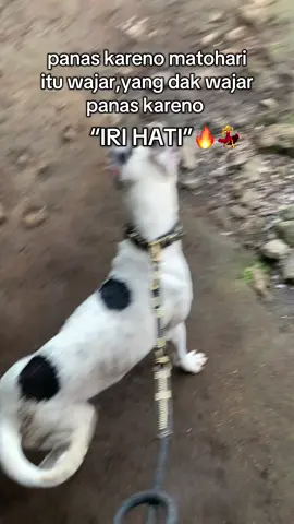 ⭐️SNADA⭐️ #porbicurupkepahiang #pphbrejanglebong #porbisolok #porbi50kota #porbiserumpuncurupkepahiang #fyp #fyppppppppppppppppppppppp 