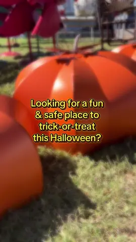Tiktok do your thing! Fall fun is here, Halloween night we’re celebrating family, community, and connection at the world’s largest flea market! 🍁 👧 Bring the kids. 🐶 Bring your pups. 🎭 Dress them up for PAW-loween and join us Friday, October 31 for evening trick-or-treating on the grounds! 🛍️ Vendors: we’re encouraging everyone to stay open until 6 PM to give families a safe, fun place to walk, shop, and make memories together. 🎟️ Bonus: Enjoy FREE parking after 3 PM, available only at the North Entrance, East Entrance, and directly across the street from The Arbors. Come be part of the Magic of First Monday, where families, friends, and fur babies gather for laughter, candy, community. 💛 Tag your booth friends, share this invite, and help us fill the grounds with joy and celebration! ✨ #VisitFirstMonday #MagicOfFirstMonday #CantonTX #tradedays #FirstMondayCanton #PawlOWeen #FamilyFun #TrickOrTreatTexas #ShopLocal #EastTexasEvents #CantonVendors #FallMarket #TexasFamilyFun #CommunityOverCompetition #VisitCanton @Sense of Southern @bondedandbejeweled @FicklefinkPottery @Barnyard Folk Art Homestead @pishposh_tshirts @Honey's Book Garden @Raylee Faythe @3 Crafty Sisters @BeeKings @BillyNubs @Big Daddy Beard LLC @ETXLegendsCoffee @East Texas Activities @J&E’s Grace Inspired Designs @Hood Drip Sauce @Western Layne Boutique @cantonshoppingguide