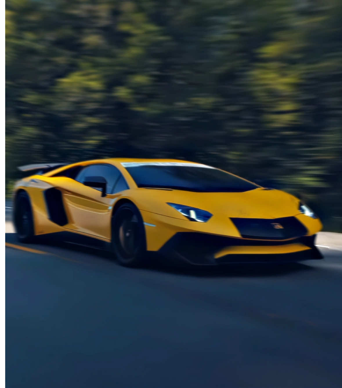 Dreams grew horsepower 🔥 | #4k #120fps #woooyie #cars #madelyncline 