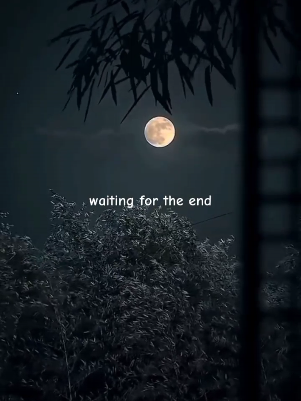 Waiting For The End #linkinpark #liriklagu #songlyrics #foryoupage #fypage 