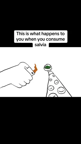 do you would to try this?#fyp #salvia #consume 
