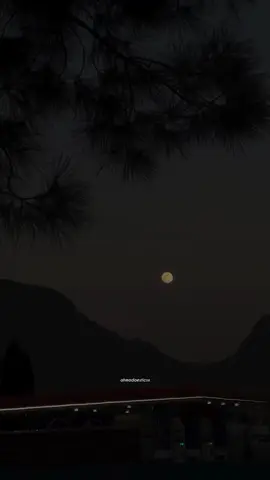 Rihaee 🕊️ | Repost Request | #fyp #foryoupage #foryou #tiktok #lyrics 