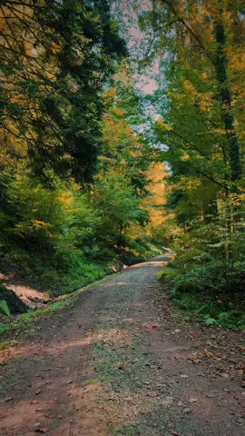 Nature Sounds 🎶#asmr 