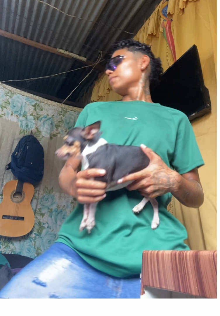 Passinho do roblox 😂😂 #fypシ゚ #dancinha #nipebaiano 