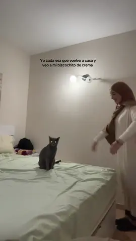 Holaaaa #trend #contenido #parati #gatos #duo 