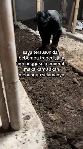 #petanimuda #pupukorganik #fyp 