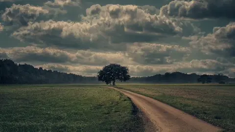 مناظر طبيعيه 4k #مناظرة_دينية مناظر طبيعيه 8k#مناظر_طبيعيه 8k 